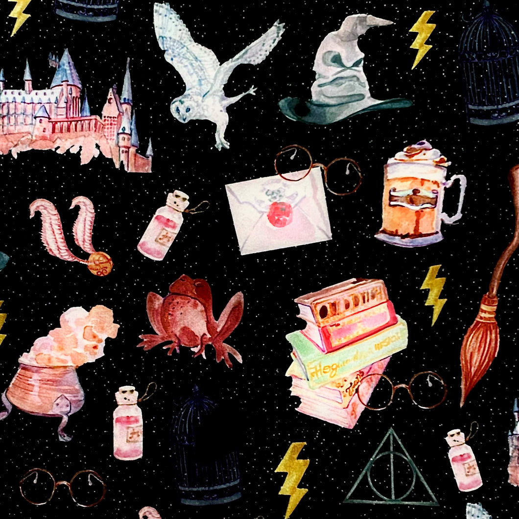Harry Potter Hogwarts School Wizardry SOFT Leggings TC Disney Magic Wi –  Pretty Please Leggings